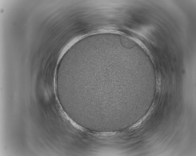 X0000059801294200510211042