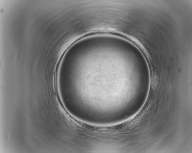 X0000059801295200510211042