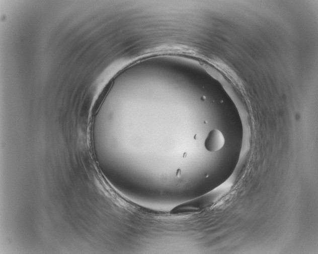 X0000059801296200510211042