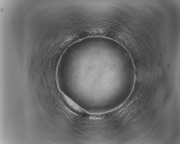 X0000059801297200510211041