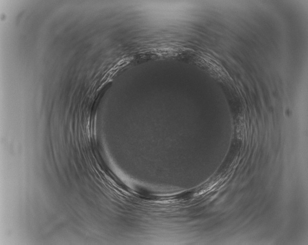 X0000059801298200510211041