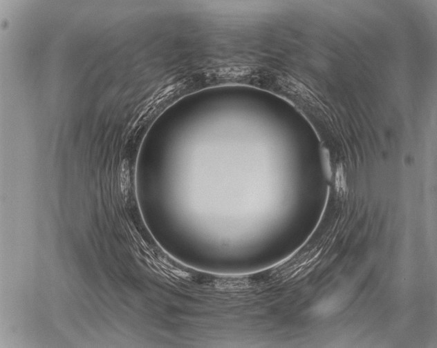 X0000059801299200510211041