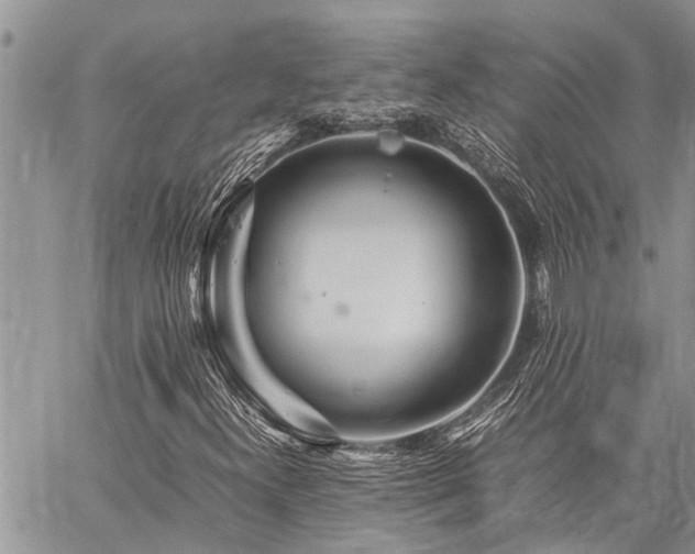 X0000059801300200510211041