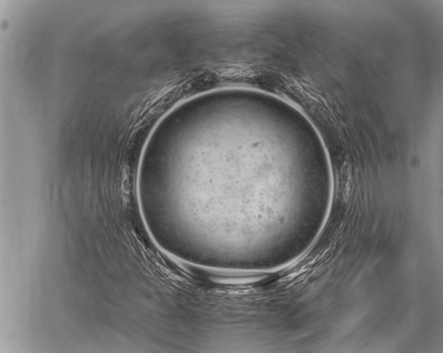 X0000059801301200510211041