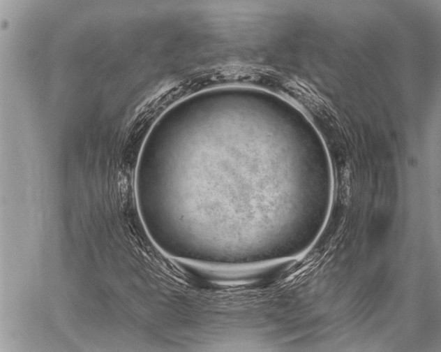 X0000059801302200510211041