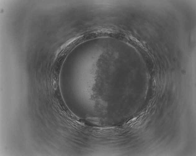 X0000059801303200510211041