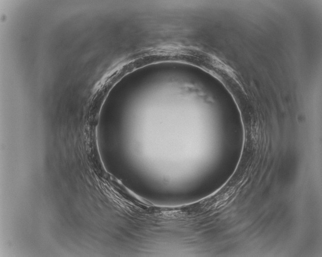 X0000059801304200510211041