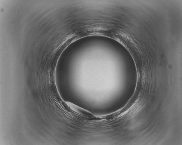 X0000059801305200510211041