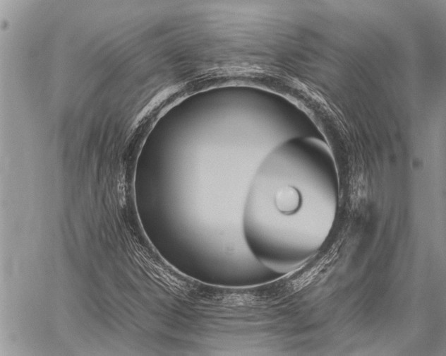 X0000059801306200510211041