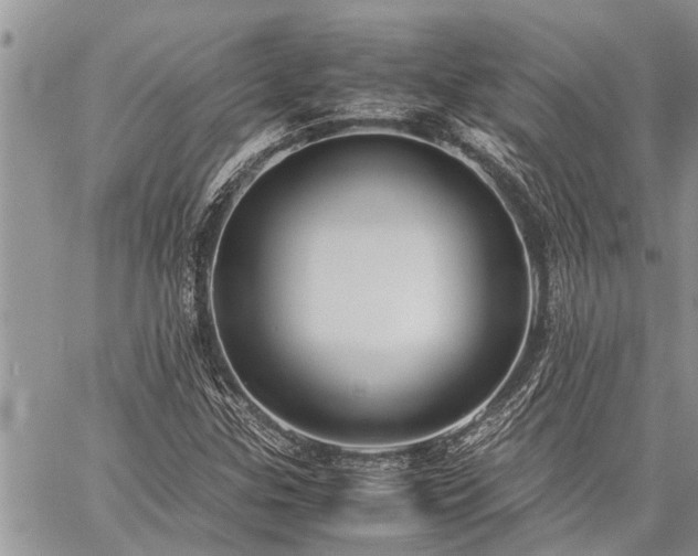 X0000059801307200510211041