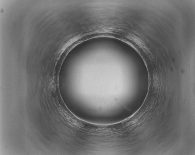 X0000059801308200510211041