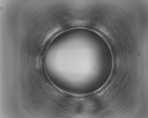 X0000059801309200510211041