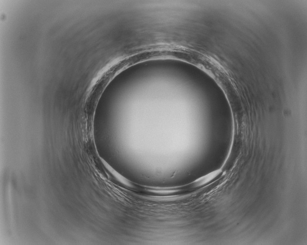 X0000059801310200510211041