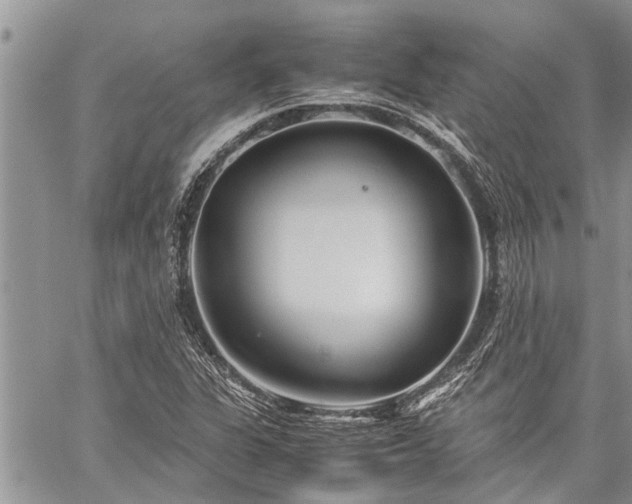 X0000059801311200510211042