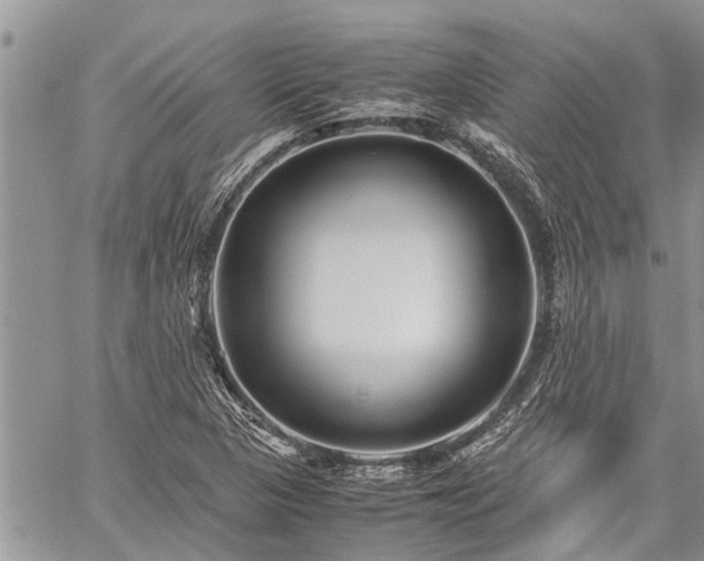 X0000059801313200510211042