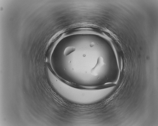 X0000059801314200510211042