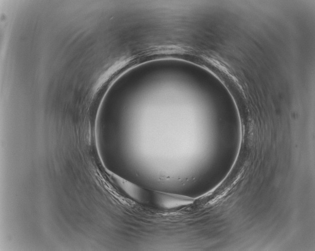 X0000059801317200510211042