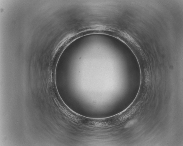 X0000059801318200510211042