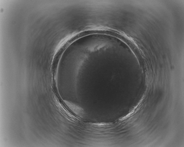 X0000059801319200510211042