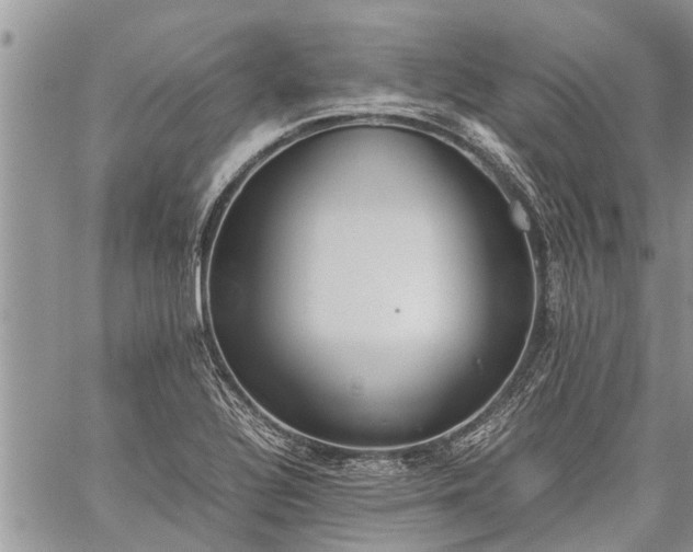 X0000059801320200510211042