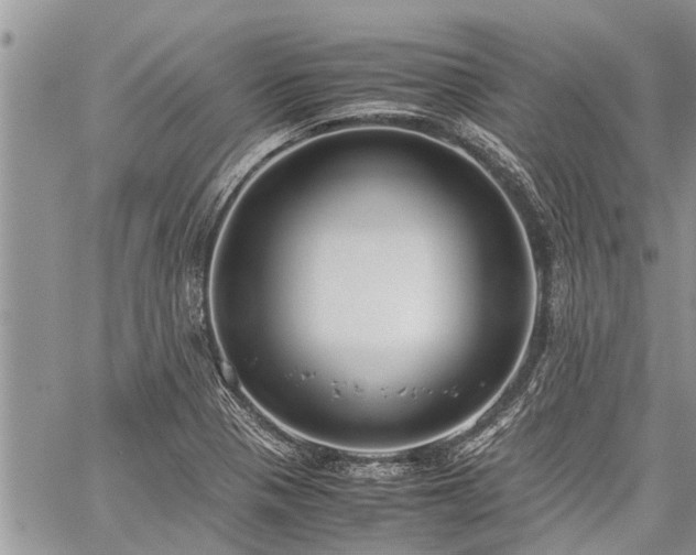 X0000059801321200510211042