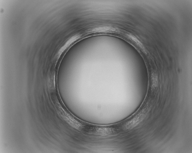 X0000059801322200510211042