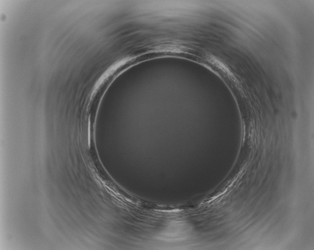 X0000059801323200510211042