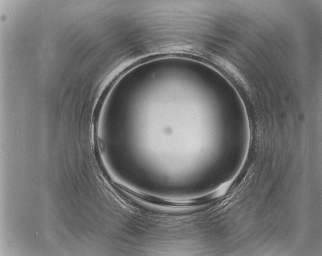 X0000059801324200510211042