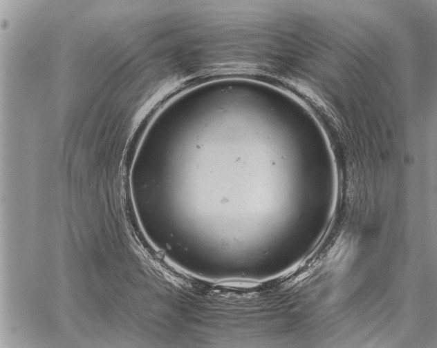 X0000059801325200510211042