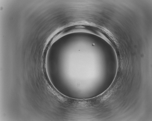 X0000059801326200510211042