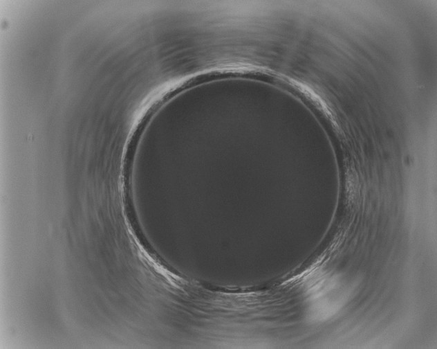 X0000059801327200510211042