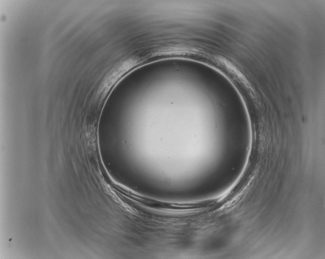 X0000059801329200510211042