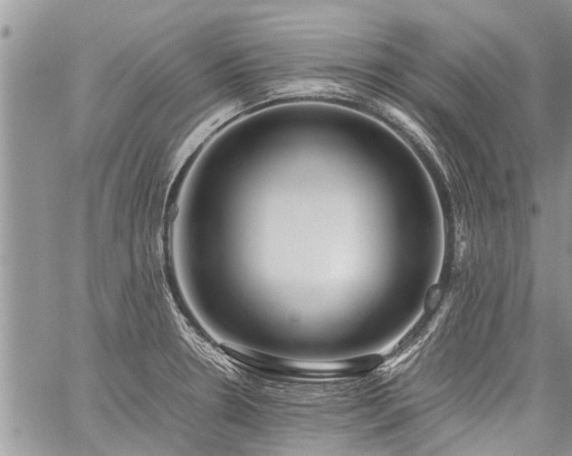 X0000059801330200510211042