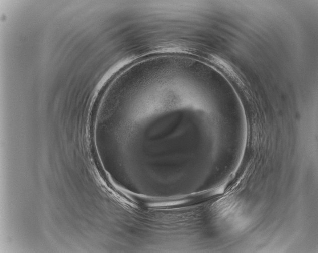 X0000059801331200510211042