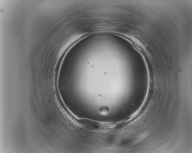 X0000059801333200510211042