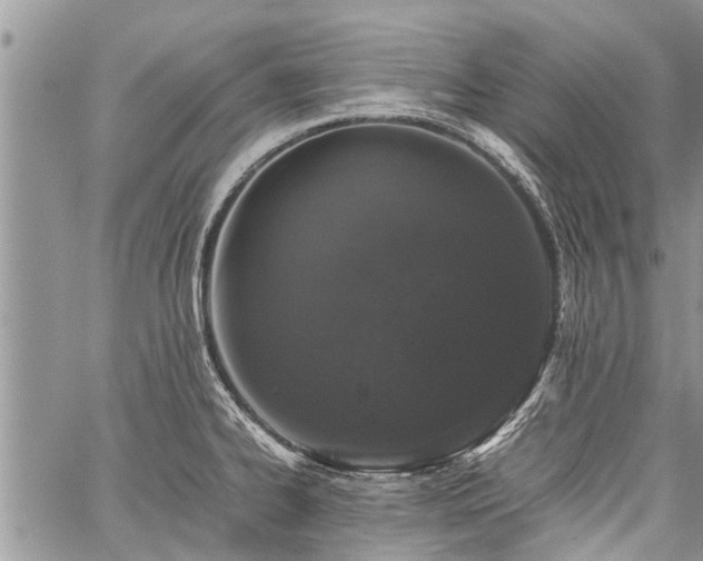 X0000059801334200510211042