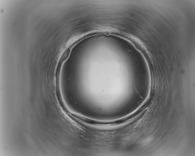 X0000059801335200510211042