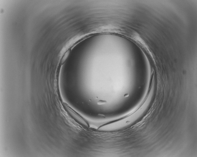 X0000059801336200510211042