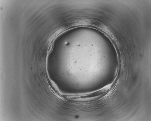 X0000059801337200510211042