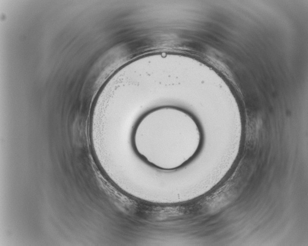 X0000059801338200510211042