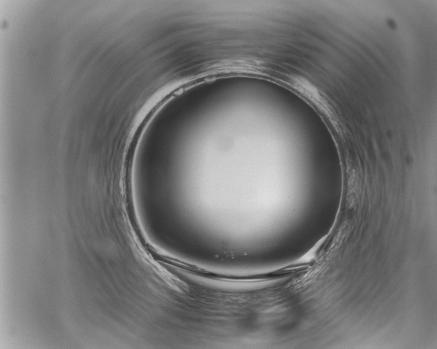 X0000059801339200510211042