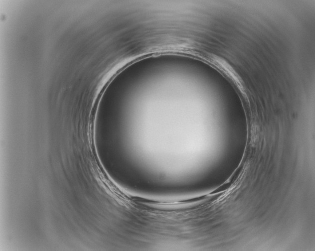 X0000059801340200510211042