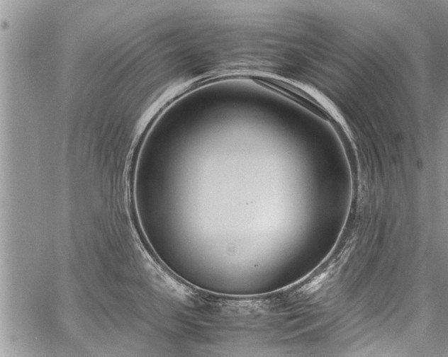 X0000059801341200510211042