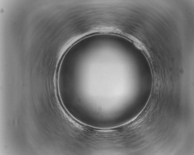 X0000059801343200510211042