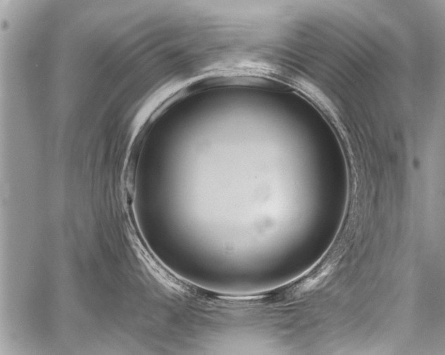 X0000059801344200510211042