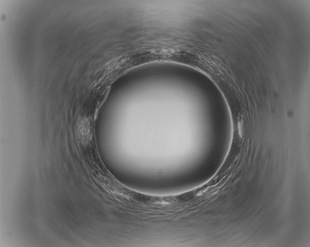 X0000059801347200510211041