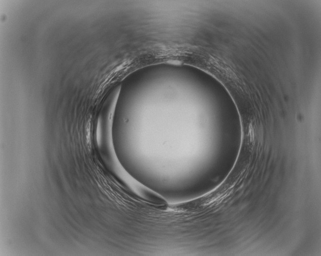 X0000059801348200510211041