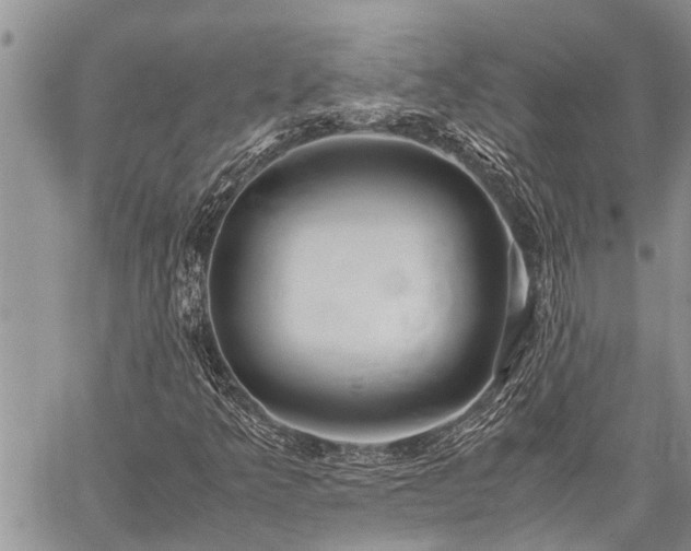 X0000059801349200510211041