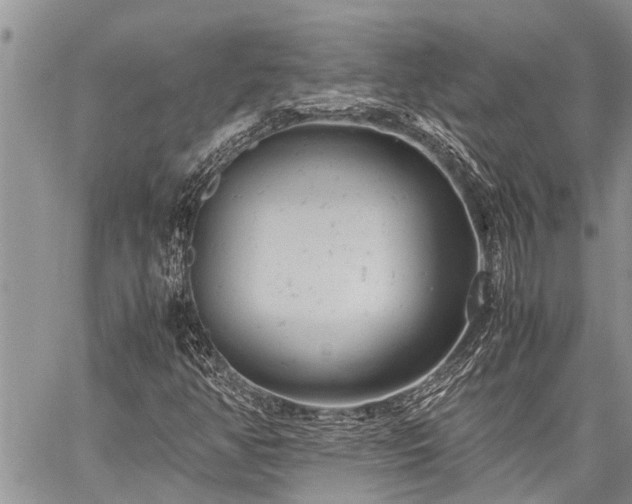 X0000059801350200510211041