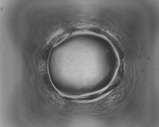 X0000059801351200510211041